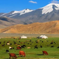Mongolia