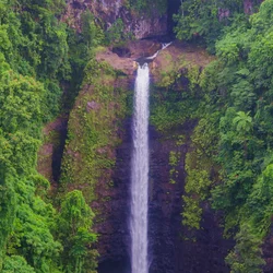 Suriname