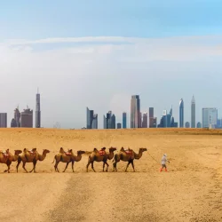 United Arab Emirates (UAE)