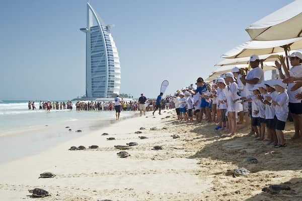 Turtle Rehabilitaion Centre, Burj al-Arab, Dubai