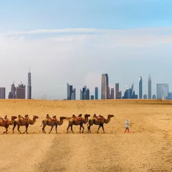 United Arab Emirates (UAE)